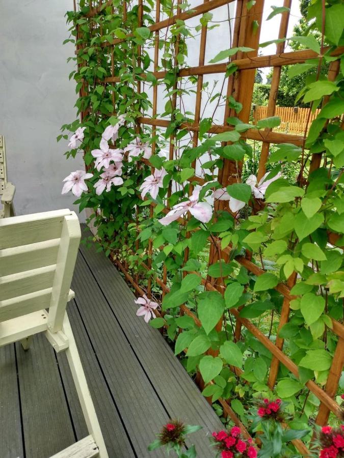 Apartament Przy Kamiennej Chacie Zalewo  Экстерьер фото